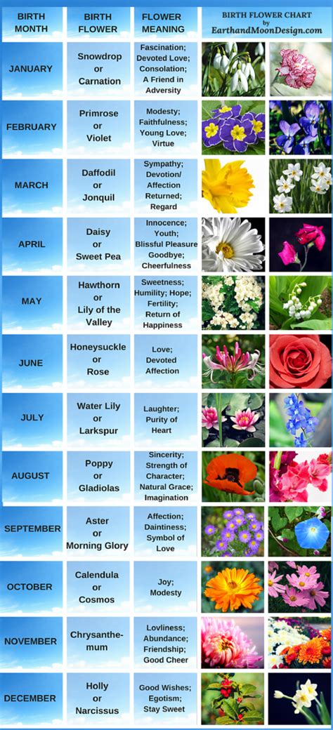 Birthstones have an interesting and varied history, including references to christian beliefs and correlations between birthstones and zodiac signs. Birth Flowers: April's Daisy and Sweet Pea | Birth flower ...