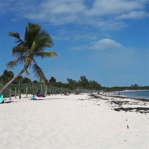 Playa Publica 88 Playa Del Carmen Lo Que Se Debe Saber Antes De Viajar Tripadvisor