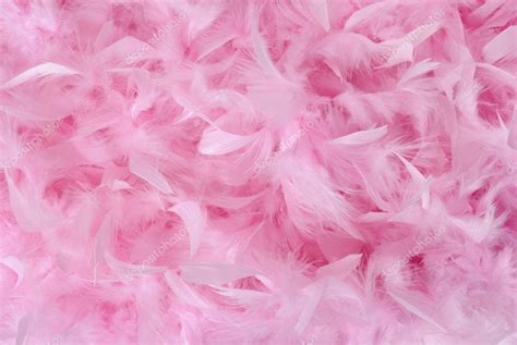 Small Pink Feathers In Pile Texture — Stock Photo © Zakazpc 4134983