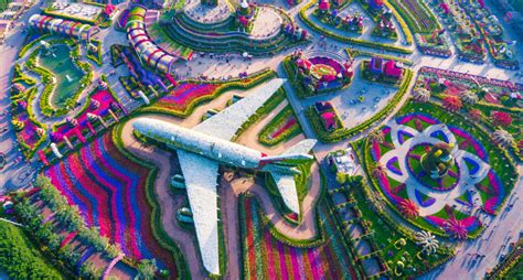 The Miracle Garden In Dubai Opening Date Ticket Price Location