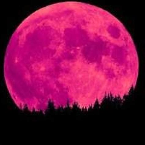 The pink moon is expected to reach its peak illumination on april 26, at 11:33 p.m. Pink Moon Rising on April 26th - USA Herald