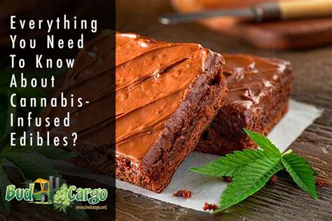 Everything You Need To Know About Cannabis Infused Edibles
