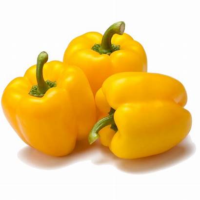 Yellow Pepper Bell Capsicum Seeds Organic Chattogram