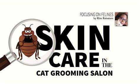 Skin Care In The Cat Grooming Salon Groomer To Groomer