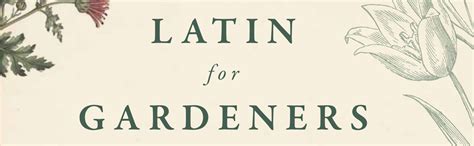 Rhs Latin For Gardeners Over 3000 Plant Names Explained And Explored