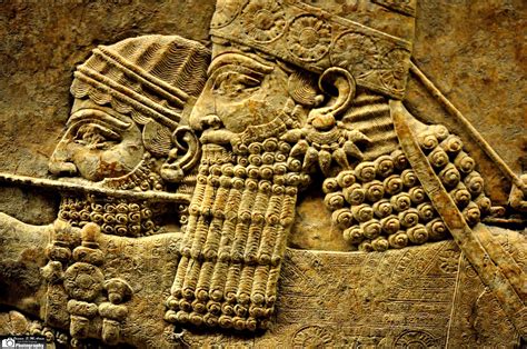 Lion Hunting Scenes Ashurbanipal Ii Par Assyria Babylon Akkad