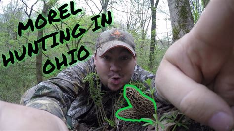 Morel Mushroom Hunting In Ohio Awesome Day Youtube