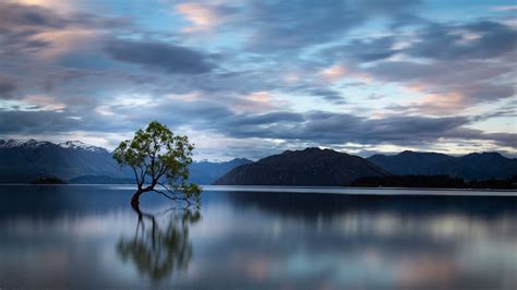 Download Wallpaper 1366x768 Tree Reflection Lake Mountains Clouds