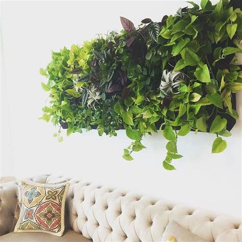 All You Need To Know About Vertical Garden Vertical Garden Indoor