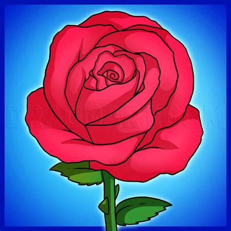 Https://tommynaija.com/draw/art How To Draw A Rose