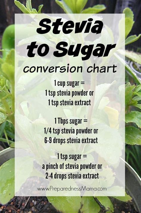 Stevia To Sugar Conversion Chart Plus Growing And Preserving Methods