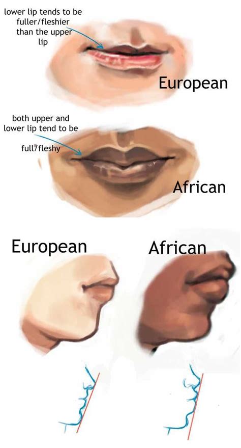 Artistic Reference For Depicting Typical Racial Physical