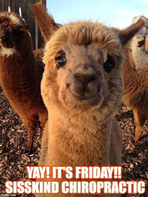 Some energetic guy expressing how i really feel when it's friday. Yay Its Friday Images : Find the newest yay its friday meme. - canvas-spoon
