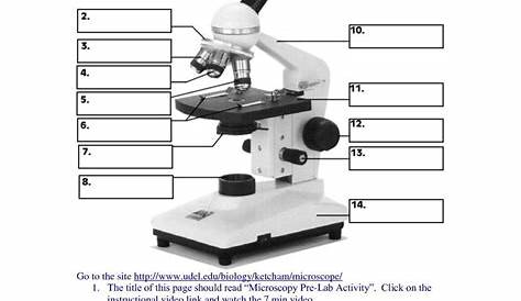 microscope parts and use worksheet
