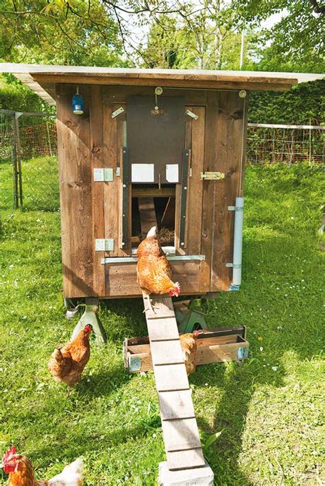 The Chicken Coop Of Your Hens Dreams Should Have These Features