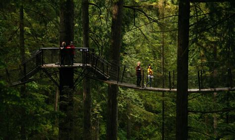 Treetops Adventure Capilano Suspension Bridge Park