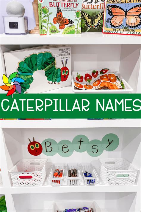 Caterpillar Names In 2022 Insects Preschool Preschool Lessons