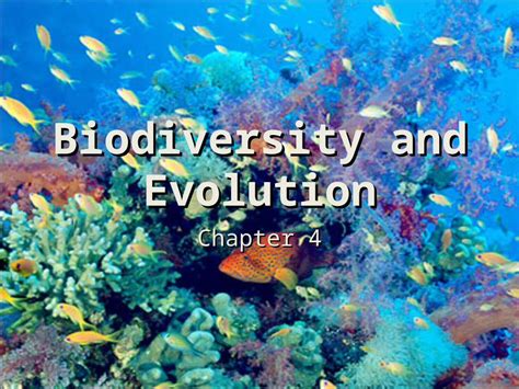 PPT Biodiversity And Evolution Chapter 4 Biodiversity Definition