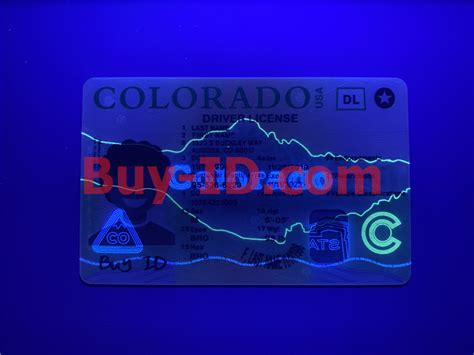 Scannable New Colorado State Fake Id Card Fake Id Maker Buy