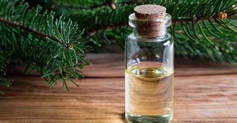 13 beneficios de salud del aceite esencial de picea remediosmd