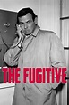 The Fugitive (1963) | Series | MySeries