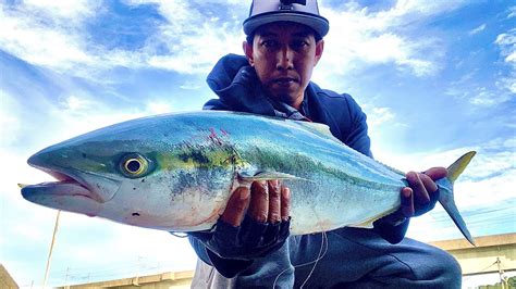 How To Catch Japanese Amberjack Kingfish Fishing Japan Part 2 Youtube