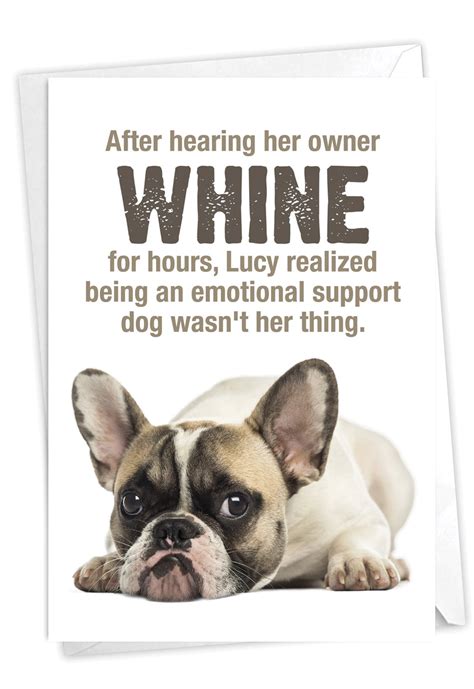 Funny Dog Birthday Card With Envelope Pet Pug Humor Bday Greeting
