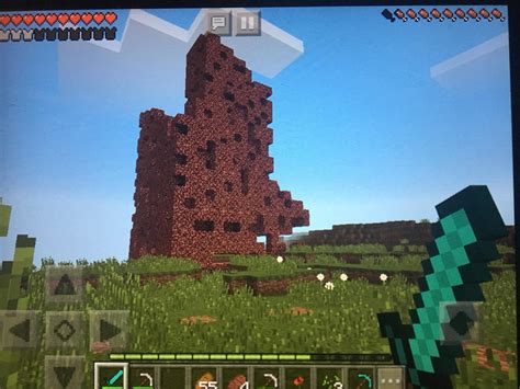 This Is What A Nether Reactor Core Created After Being Activated
