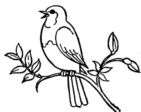 Birds Clipart Black And White Birds Black And White Transparent Free