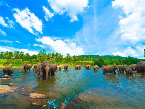 13 Most Beautiful Spots In Sri Lanka — Amazing Travel Tours Know