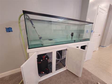 Just Got A 125 Gallon Tank Any Ideas On Some Cool Stocking Ideas I