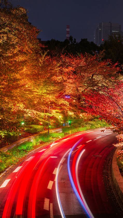 1080x1920 1080x1920 Japan Tokyo Road Autumn Trees Nature Night