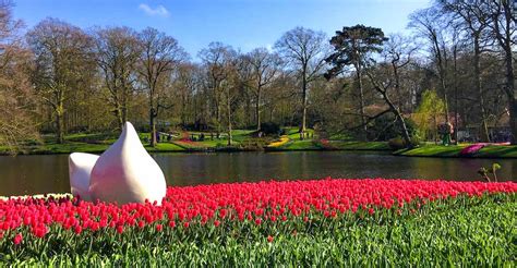 Keukenhof Gardens 2024 Guide To The Amsterdam Tulip Festival