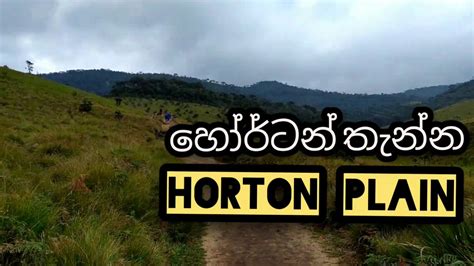 හෝර්ටන් තැන්න Horton Plains Sri Lanka ♥️ Youtube