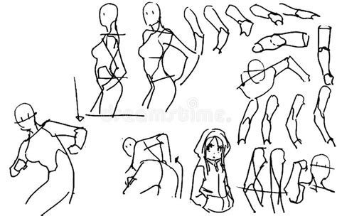 Tutorial Of Drawing Female Body Drawing The Human Body Step By Step