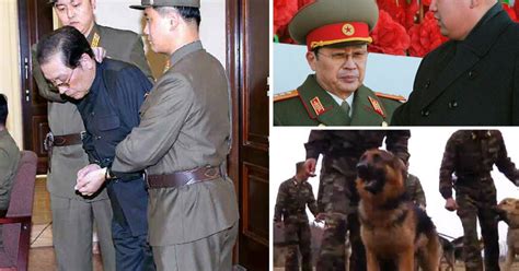 North Korea Kim Jong Un S Uncle Executed Stripped Naked And Fed To 120