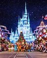 Walt Disney World Christmas Report - Part 1 - Disney Tourist Blog