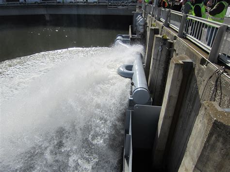 Fish Ladders On Dams