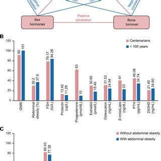 Relationships Between Sex Hormones Bone Turnover Abdominal Obesity