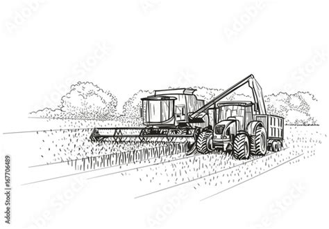 Combine Harvester And Tractor At Work On Field Vector Buy This
