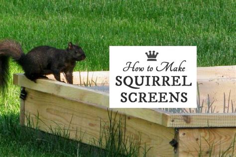 Raised bed vegetable gardening takes very little space and allows vegetables to be grown closer together. How to Make Squirrel Screens for Raised Garden Beds ...