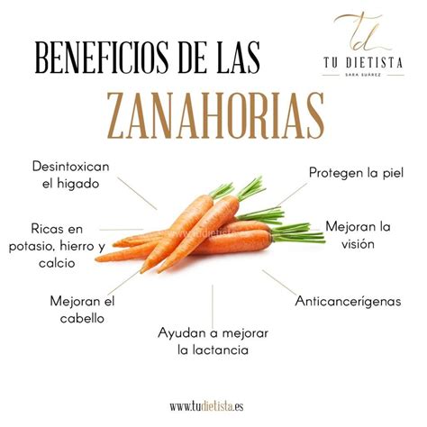 Beneficios De Las Zanahorias Actualizado