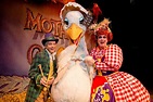 Mother Goose: Shrewsbury panto will have flying fairy and laughter ...