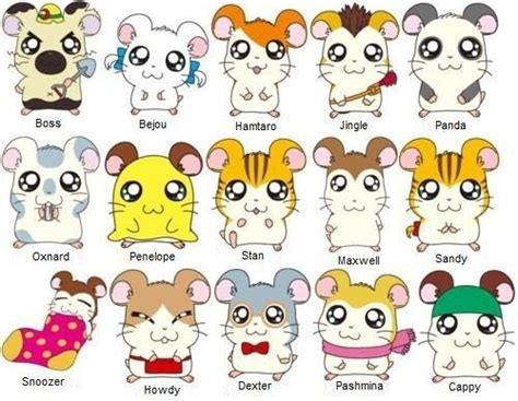 Each Hamster Had A Different Personality That Kids Could