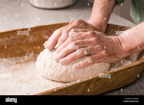Woman Kneading Dough In An Antique Dough Trough Until It Is Smooth And