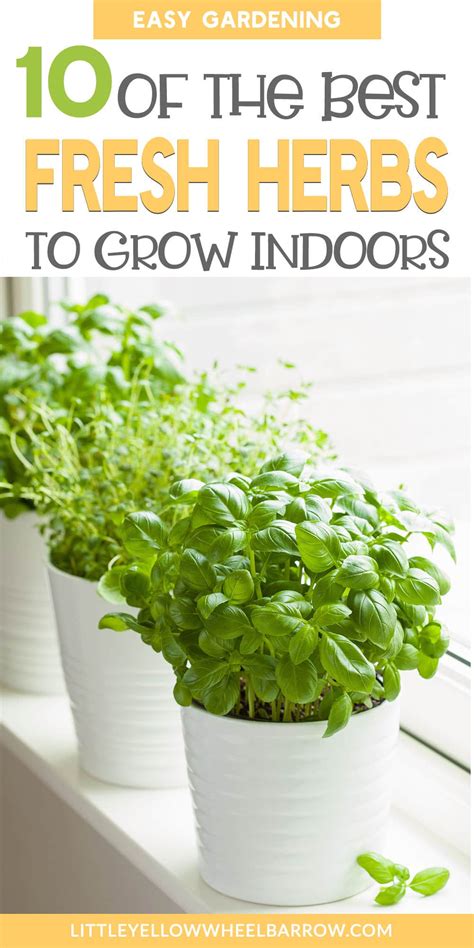 The 10 Best Herbs To Grow Indoors Artofit