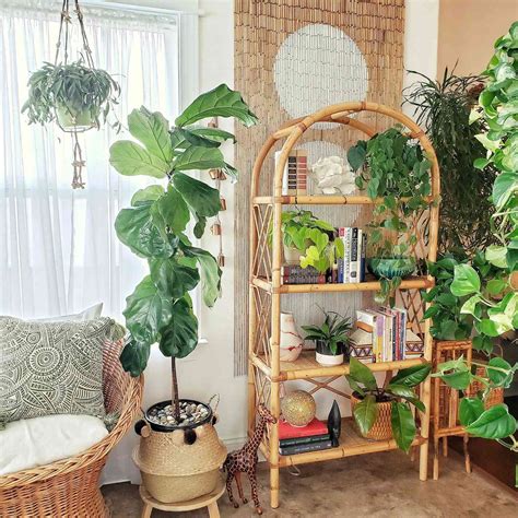 11 Best Large Indoor Plants To Add To Your Home