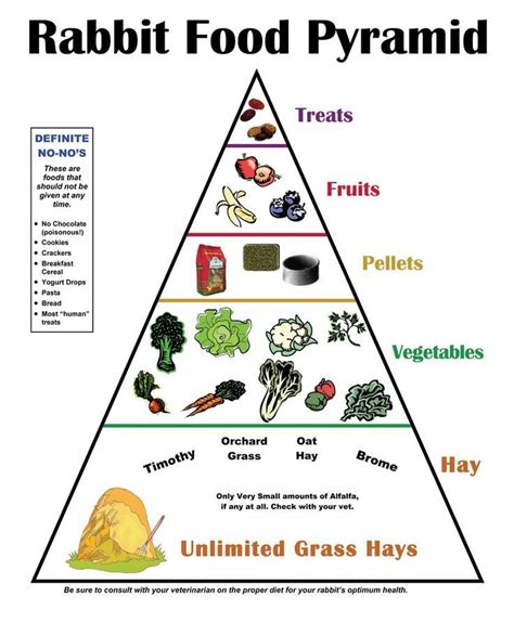 Rabbit Food Pyramid I Dont Agree With The Vegetable Part While