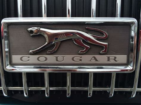 Pin On Cougar