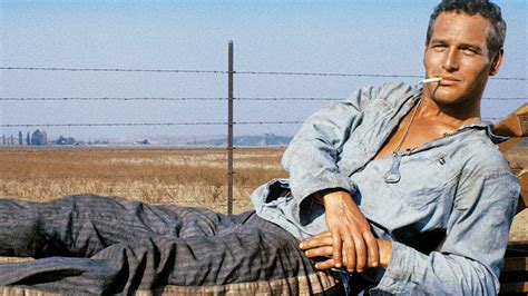 Cool Hand Luke 1967 Watch On Hbo Max Or Streaming Online Reelgood